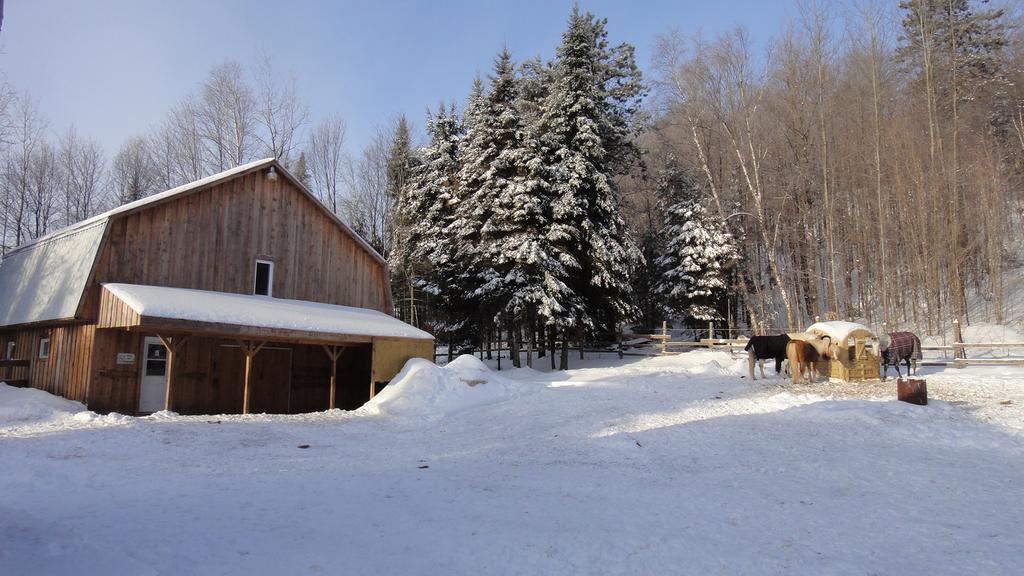 Auberge Le Cheval Bleu Saint-Alphonse-Rodriguez ภายนอก รูปภาพ