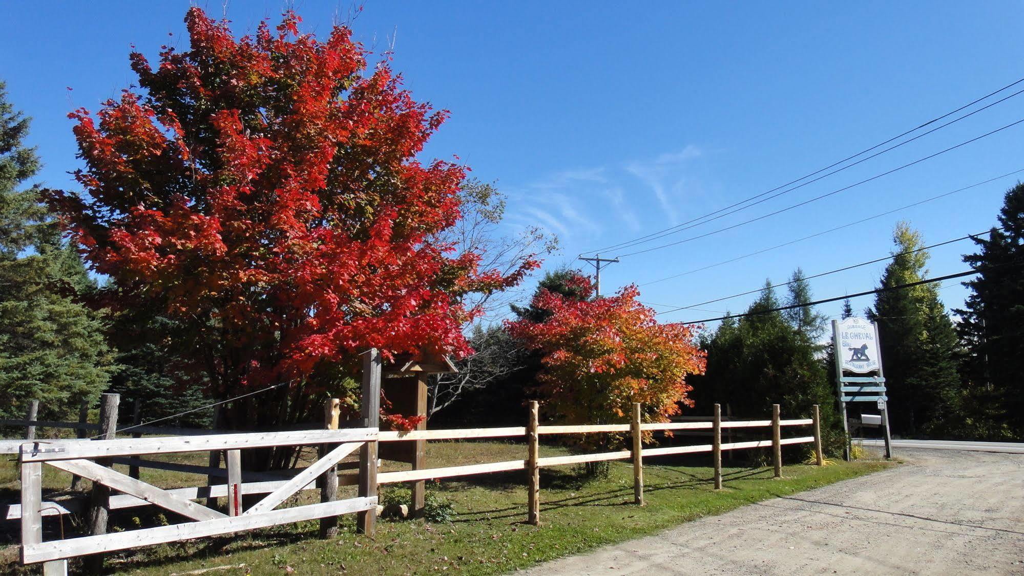 Auberge Le Cheval Bleu Saint-Alphonse-Rodriguez ภายนอก รูปภาพ